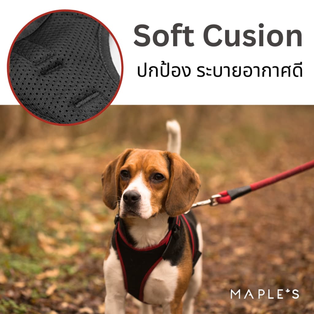 MAPLE'S สายจูงสุนัขยาว3เมตร ที่รัดอก สายจูงสปริงยืดหดได้ สุนัขใหญ่ เเมว Cat leash เชือกจูง จูงเเมว รูปที่ 9