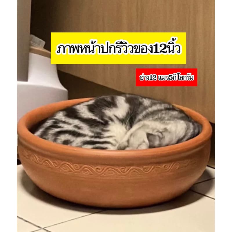 อ่างแมวนอนดินเผา12-14-16-18-20นิ้ว ต้องเปิดพรีเดอไว้แต่จัดส่งปกติทุกวันอ่างดินเผานอนเย็นสบาย รูปที่ 1