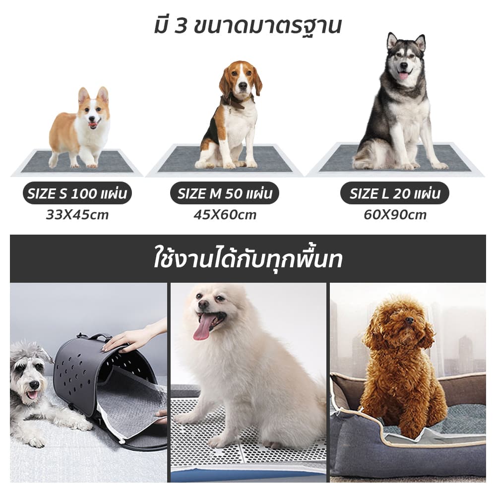Pawblic × Petchoแผ่นรองฉี่สุนัข รุ่นชาโคล แผ่นรองฉี่แมว ยถ่านหินคาร์บอน ดูดกลิ่นดี ต่อต้านแบคทีเรีย ซึมซับดี ระงับกลิ่ รูปที่ 7