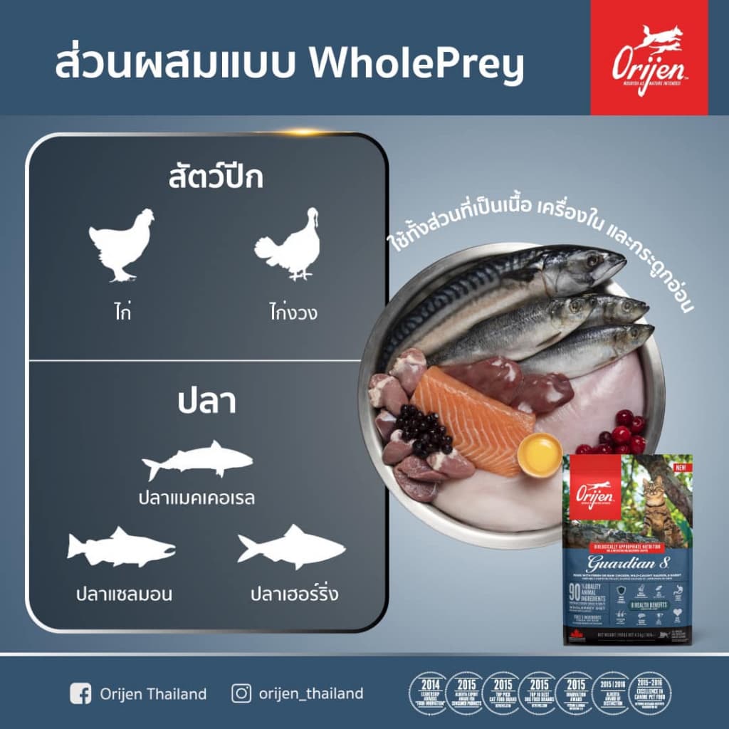 ORIJEN Guardian8 340 กรัม โอริเจน การ์เดียน เอท สำหรับแมวโตทุกสายพันธุ์ รูปที่ 3