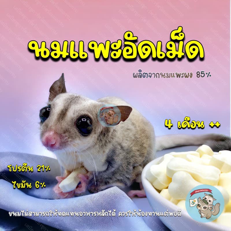 ( นมแพะอัดเม็ด ) BONE นมแพะ นมแพะผง นมทดแทน อาหารเสริม ขนม สัตว์ฟันแทะ สุนัข ชูการ์ ดอร์เมาส์ กระต่าย กระรอก แฮมสเตอร์