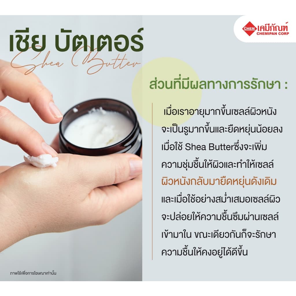 CC1913-A-GM100-MShea Butter : 100g. รูปที่ 3