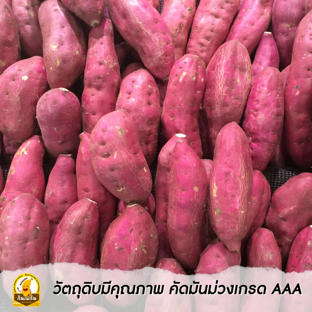 กินเพลิน800 กรัม มันม่วงเส้นเค็ม มันเส้นทอดกรอบ มันม่วงฉาบรสเค็ม รูปที่ 3