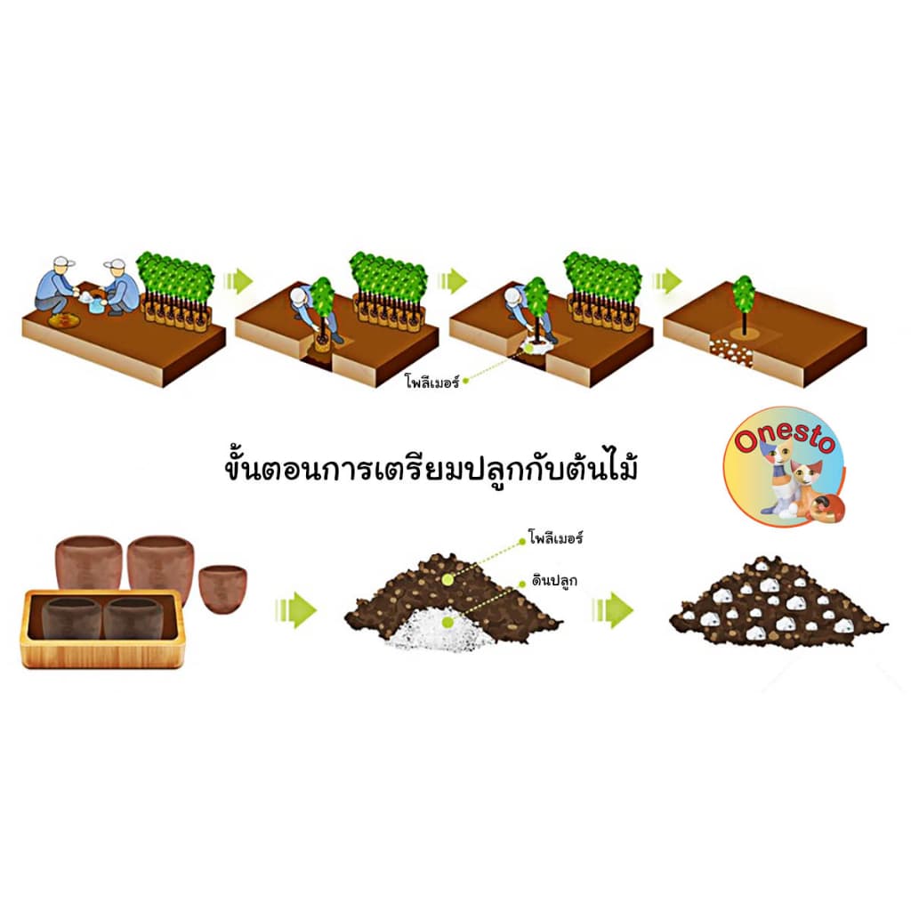 โพลิเมอร์ สารอุ้มน้ำ เพื่อการเกษตรโดยเฉพาะ ปริมาตร 1000 กรัม รูปที่ 6