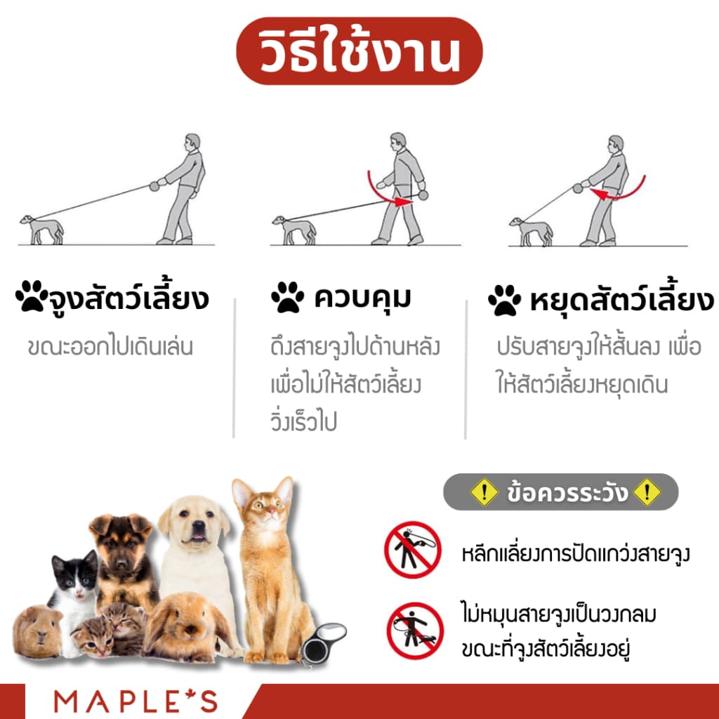 MAPLE'S สายจูงสุนัขยาว3เมตร ที่รัดอก สายจูงสปริงยืดหดได้ สุนัขใหญ่ เเมว Cat leash เชือกจูง จูงเเมว รูปที่ 5