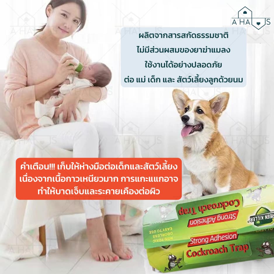 A HAUS กําจัดแมลงสาบ บ้านแมลงสาบ ไล่แมลงสาบ กับดักแมลงสาบ เหยื่อล่อ ราคาต่อ 1 ชิ้น กาวเหนียว ติดหนึบ รูปที่ 5