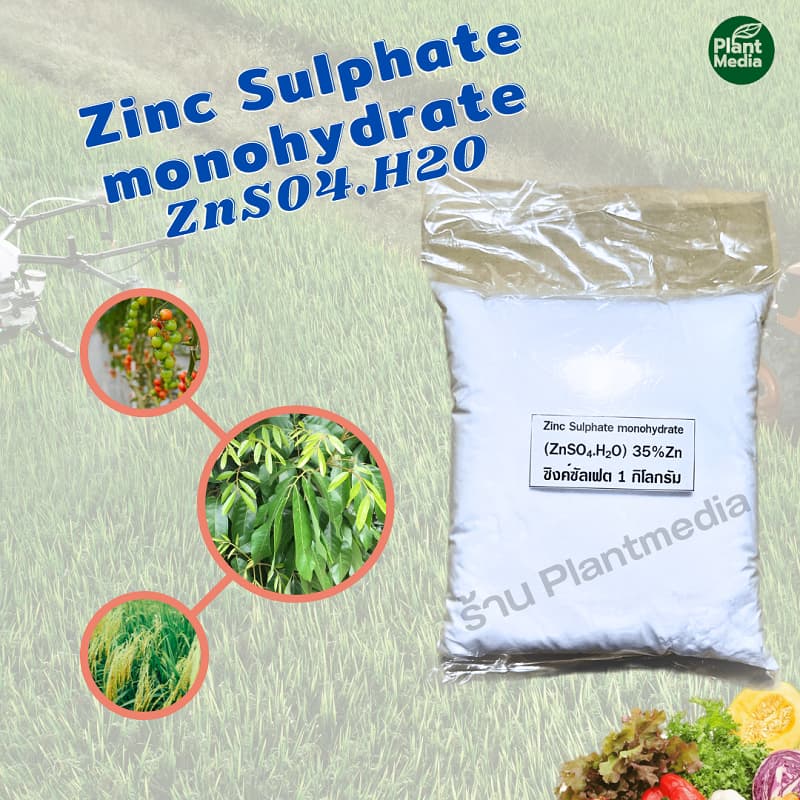 ซิงค์ซัลเฟต Zn 35% ZnSO4.H2O สังกะสีซัลเฟต Zinc Sulphate monohydrate ผง บรรจุ 1 กิโลกรัม. รูปที่ 4
