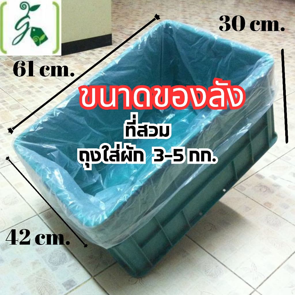 ถุงใส่ผัก 3-5 ก.ก. ขนาด 5 กก. รูปที่ 2