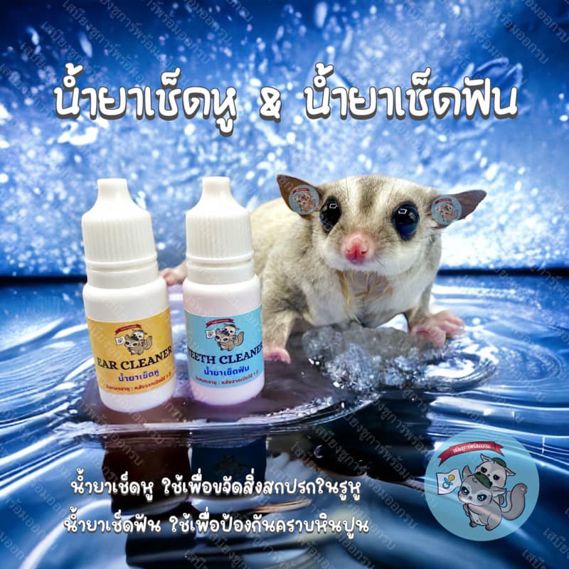 V เช็ดหู เช็ดฟัน หู แปรงฟัน ยาสีฟัน ชูการ์ กระรอก สัตว์เล็ก ดอร์เมาส์ แฮมสเตอร์ รูปที่ 1