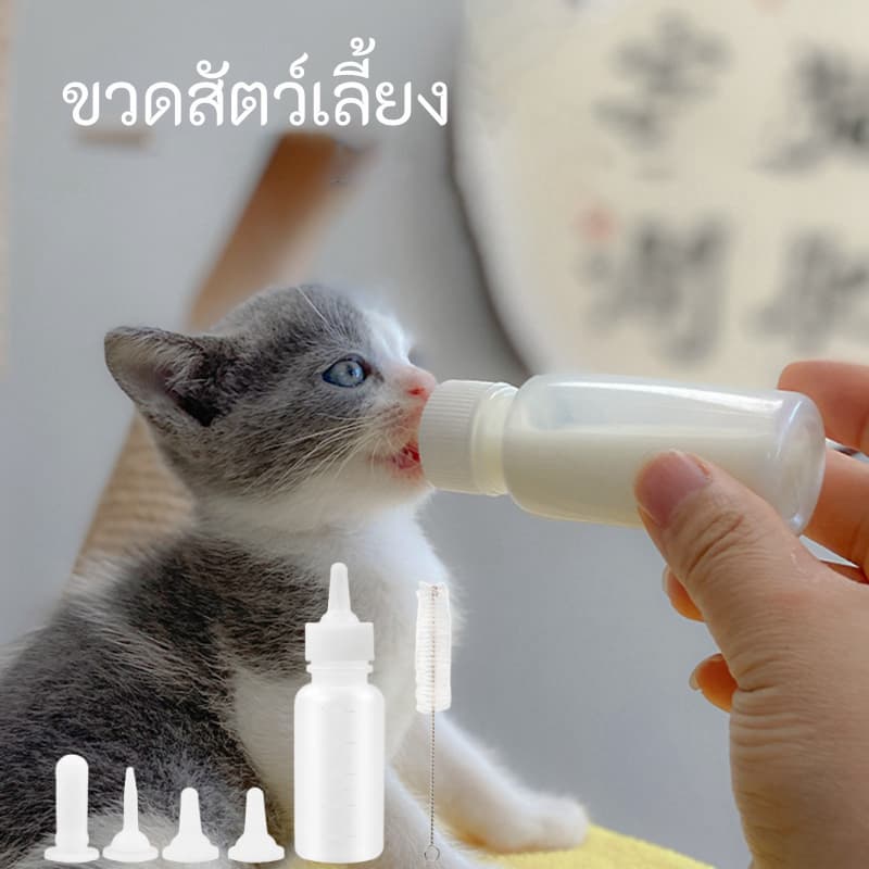 ขวดนมสัตว์เลี้ยง ใช้ป้อนลูกสุนัขแรกเกิดและ ลูกแมว รูปที่ 1