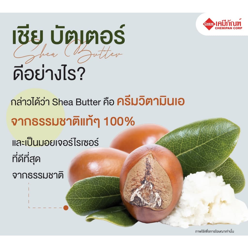 CC1913-A-GM100-MShea Butter : 100g. รูปที่ 5