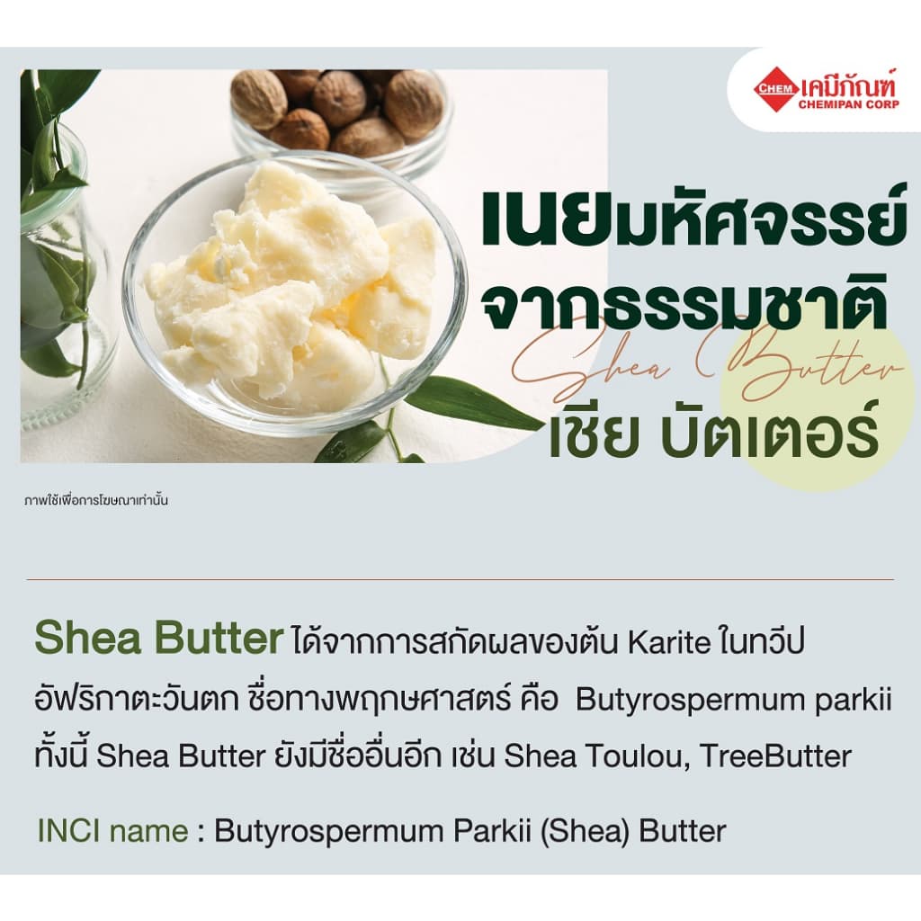 CC1913-A-GM100-MShea Butter : 100g. รูปที่ 4