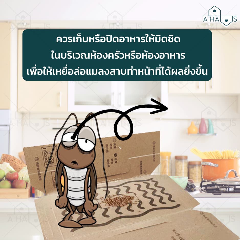 A HAUS กําจัดแมลงสาบ บ้านแมลงสาบ ไล่แมลงสาบ กับดักแมลงสาบ เหยื่อล่อ ราคาต่อ 1 ชิ้น กาวเหนียว ติดหนึบ รูปที่ 8