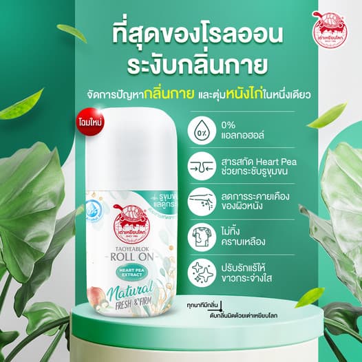 แพ็คเก็ตใหม่กิ๊ง!! โรลออนเต่าเหยียบโลก นิวเจน เต่าเหยียบโลก นิวเจน เฟรช แอนด์ เฟิร์ม ดีโอ โรลออน รูปที่ 3