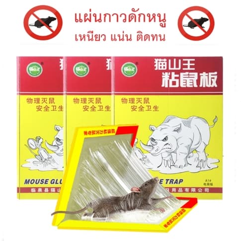 ที่ดักหนู กับดักหนู อุปกรณ์ดักหนู กับดักหนูบ้าน แบบสปริง เหยื่อดักหนู สารกำจัดหนู กาวดักหนู ยาเบื่อหนู รูปที่ 3
