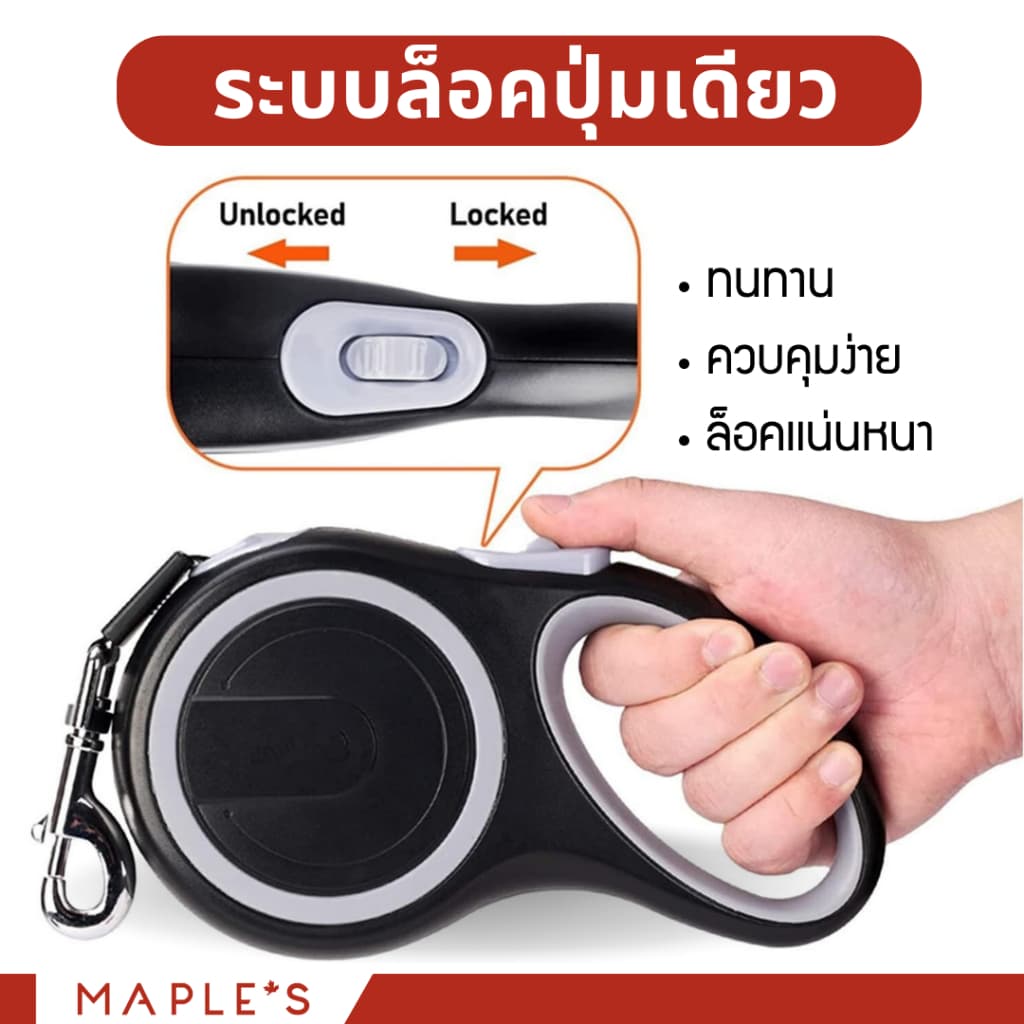 MAPLE'S สายจูงสุนัขยาว3เมตร ที่รัดอก สายจูงสปริงยืดหดได้ สุนัขใหญ่ เเมว Cat leash เชือกจูง จูงเเมว รูปที่ 3