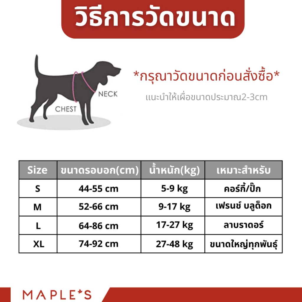 MAPLE'S สายจูงสุนัขยาว3เมตร ที่รัดอก สายจูงสปริงยืดหดได้ สุนัขใหญ่ เเมว Cat leash เชือกจูง จูงเเมว รูปที่ 8