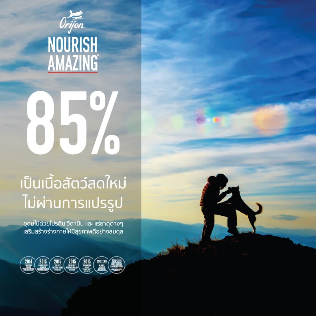 ORIJEN Original Dog 2 กิโลกรัม โอริเจน ออริจินัล สำหรับสุนัขทุกช่วงวัย ทุกสายพันธุ์ รูปที่ 5