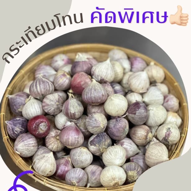 กระเทียมโทน คัดพิเศษ ลูกใหญ่ ขนาด 1 กิโลกรัม