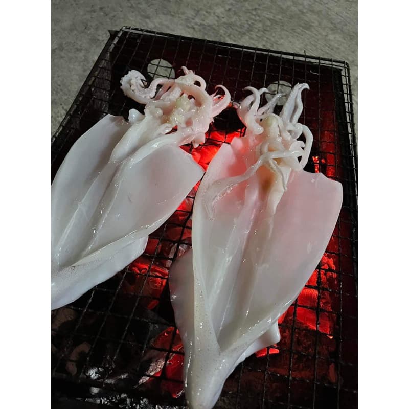 หมึกผ่าแดดเดียว 500 กรัม สดใหม่จากปากน้ำปราณบุรี รูปที่ 7
