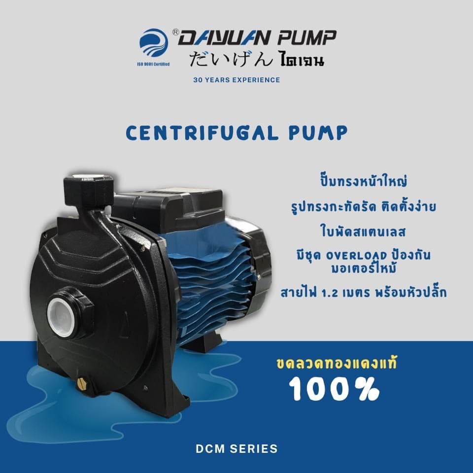 DAYUAN ปั้มน้ำไฟฟ้า ปั๊มหอยโข่ง 1นิ้ว 1HP 220V รุ่น DCM158 ขดลวดทองแดงแท้ 100% ใบพัดสแตนเลส ไดเจน ทน อึด รูปที่ 9