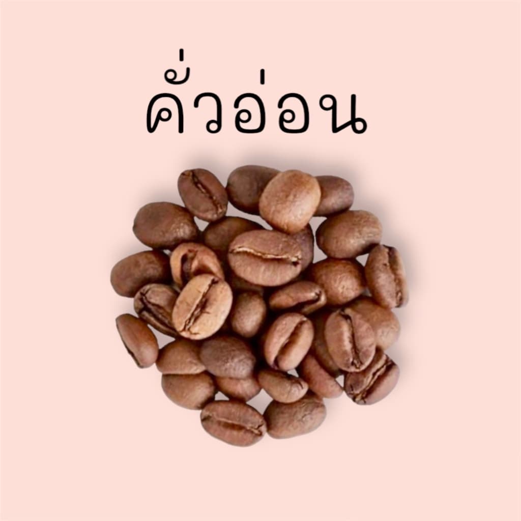 กาแฟโรบัสต้า 100% สวนยาหลวง จ.น่าน บรรจุ 250 กรัม รูปที่ 6