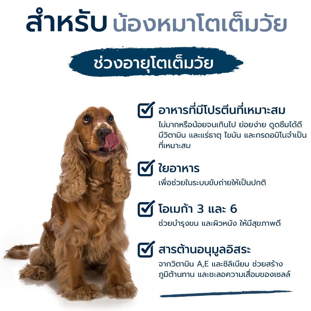 HAPPY DOG Mini Africa อาหารสุนัขโตพันธุ์เล็ก สูตรปราศจากธัญพืช เนื้อนกกระจอกเทศ 4 Kg รูปที่ 5