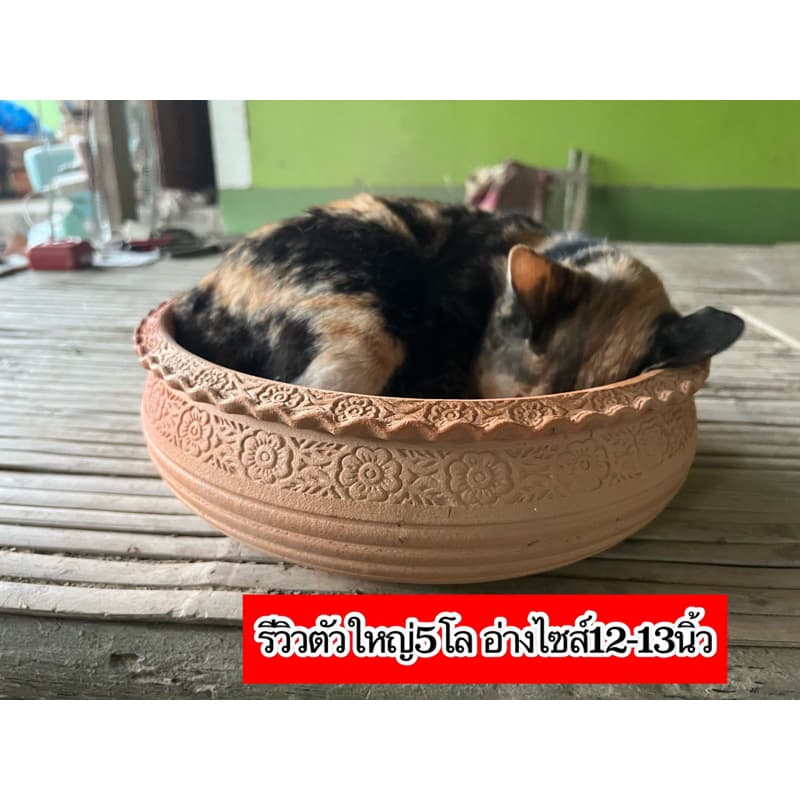 อ่างแมวนอนดินเผา12-14-16-18-20นิ้ว ต้องเปิดพรีเดอไว้แต่จัดส่งปกติทุกวันอ่างดินเผานอนเย็นสบาย รูปที่ 5