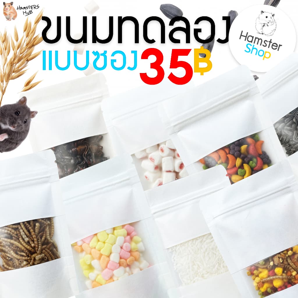 ขนมหนูเเฮมเตอร์ ชูการ์ เม่นเเคระ กระรอก กระต่าย มีขนมที่เด็กๆชอบให้เลือกมากกว่า 50 อย่าง รูปที่ 1
