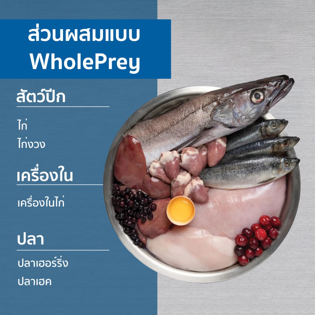 ORIJEN Original Dog 2 กิโลกรัม โอริเจน ออริจินัล สำหรับสุนัขทุกช่วงวัย ทุกสายพันธุ์ รูปที่ 3