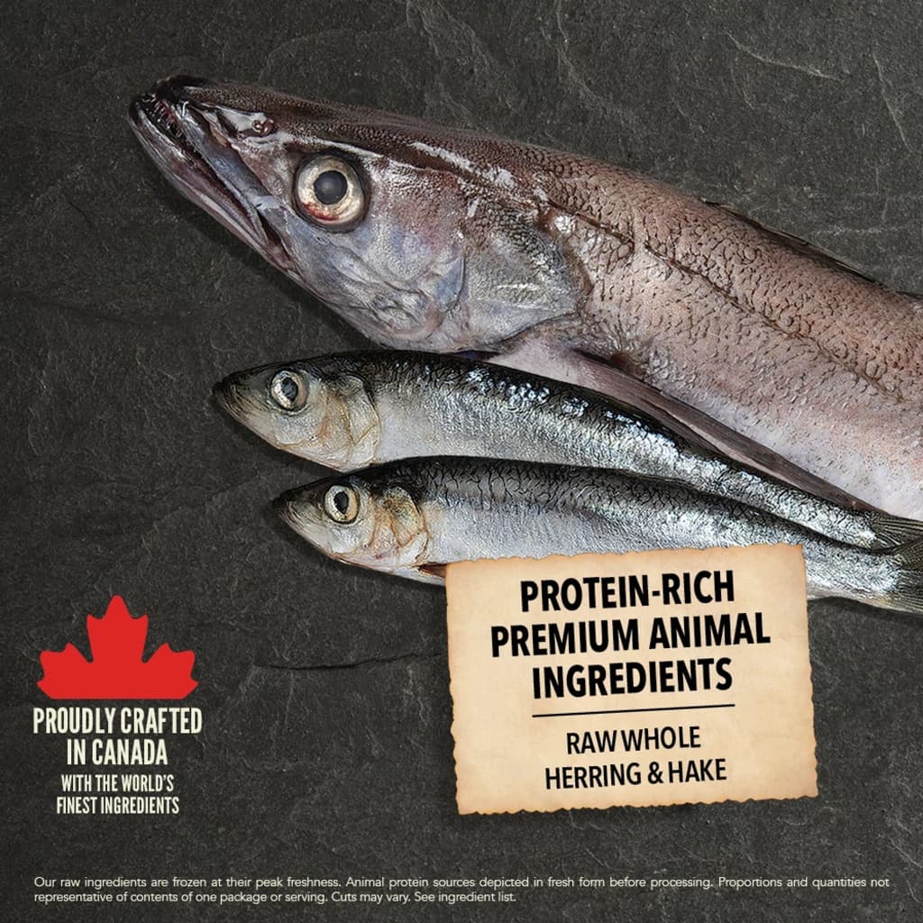 Acana - อาหารสุนัขเกรด Premium จาก Canada มี 3สูตร รูปที่ 7
