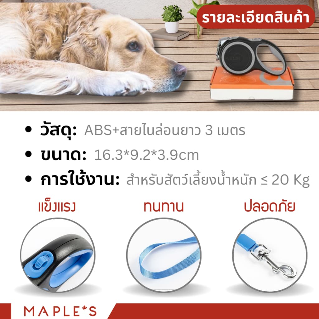 MAPLE'S สายจูงสุนัขยาว3เมตร ที่รัดอก สายจูงสปริงยืดหดได้ สุนัขใหญ่ เเมว Cat leash เชือกจูง จูงเเมว รูปที่ 4