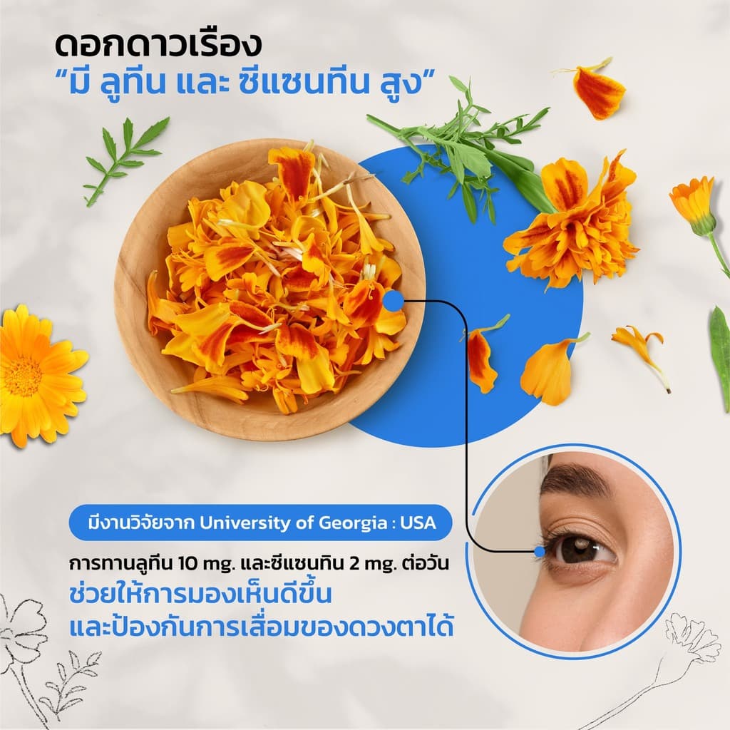 Vitanature+ Lutein and Zeaxanthin form Marigold Extract with Bilberry 1 กระปุก ลูทีนและซีแซนทิน รูปที่ 5