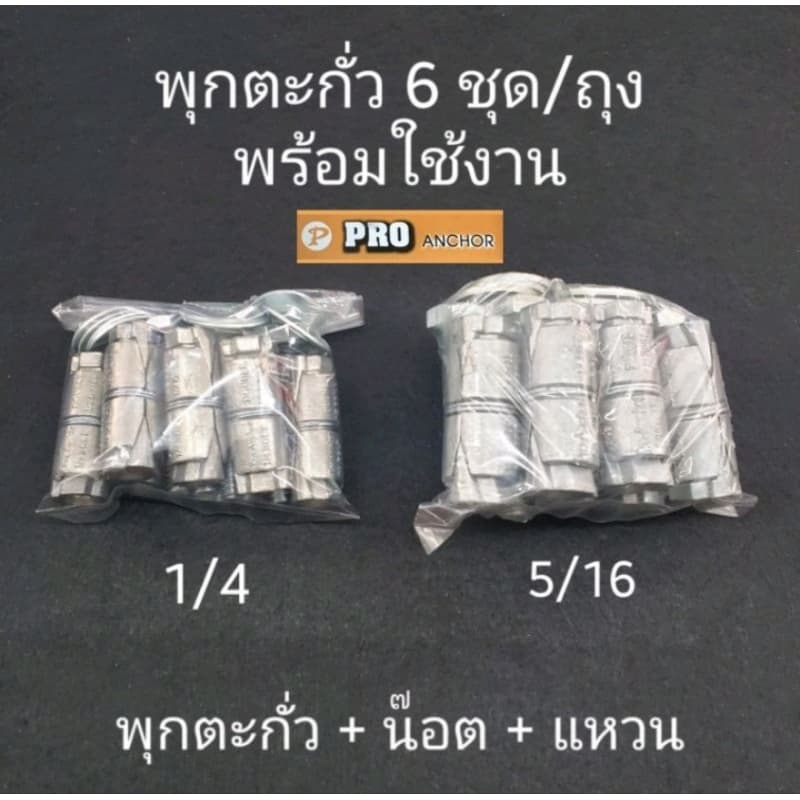 พุกตะกั่วPRO พร้อมน๊อตและแหวน พร้อมใช้งาน 6 ชุด พุกตะกั่ว1/4 5/16 รูปที่ 2