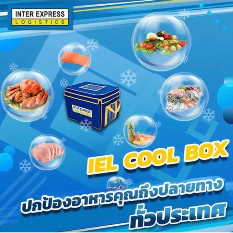 จ้อปู { ขาปู } 1 เส้นมี 8 ข้อ รูปที่ 2