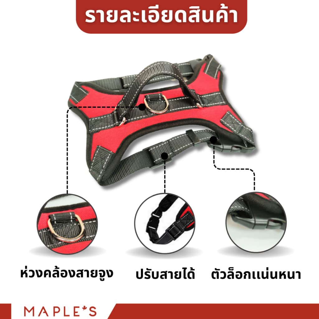 MAPLE'S สายจูงสุนัขยาว3เมตร ที่รัดอก สายจูงสปริงยืดหดได้ สุนัขใหญ่ เเมว Cat leash เชือกจูง จูงเเมว รูปที่ 7
