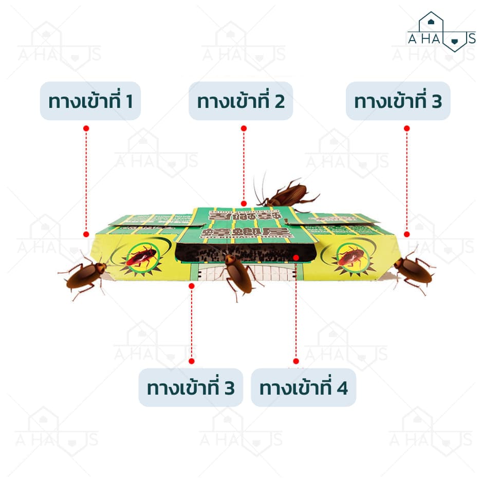 A HAUS กําจัดแมลงสาบ บ้านแมลงสาบ ไล่แมลงสาบ กับดักแมลงสาบ เหยื่อล่อ ราคาต่อ 1 ชิ้น กาวเหนียว ติดหนึบ รูปที่ 6