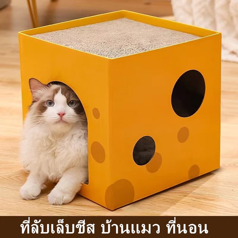 ที่ลับเล็บแมว ที่ลับเล็บชีส บ้านแมว ที่นอน ของเล่นแมว ลับเล็บได้ 2 ชั้น รูปที่ 1