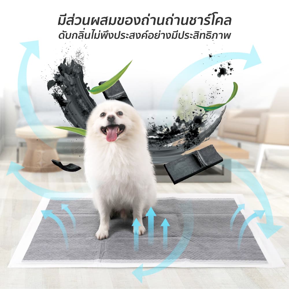 Pawblic × Petchoแผ่นรองฉี่สุนัข รุ่นชาโคล แผ่นรองฉี่แมว ยถ่านหินคาร์บอน ดูดกลิ่นดี ต่อต้านแบคทีเรีย ซึมซับดี ระงับกลิ่ รูปที่ 3