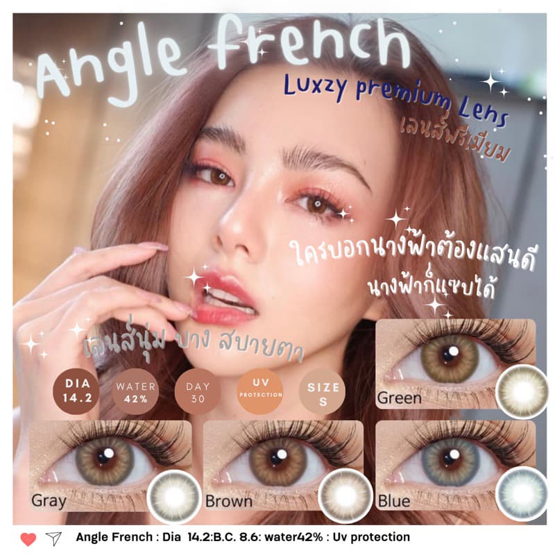 Angle French gray/brown/green/blueค่าสายตาปกติ รูปที่ 2