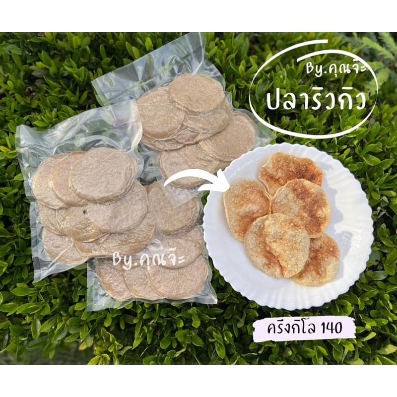 ปลาริวกิว ปลาทะเลแผ่นกลม รูปที่ 1