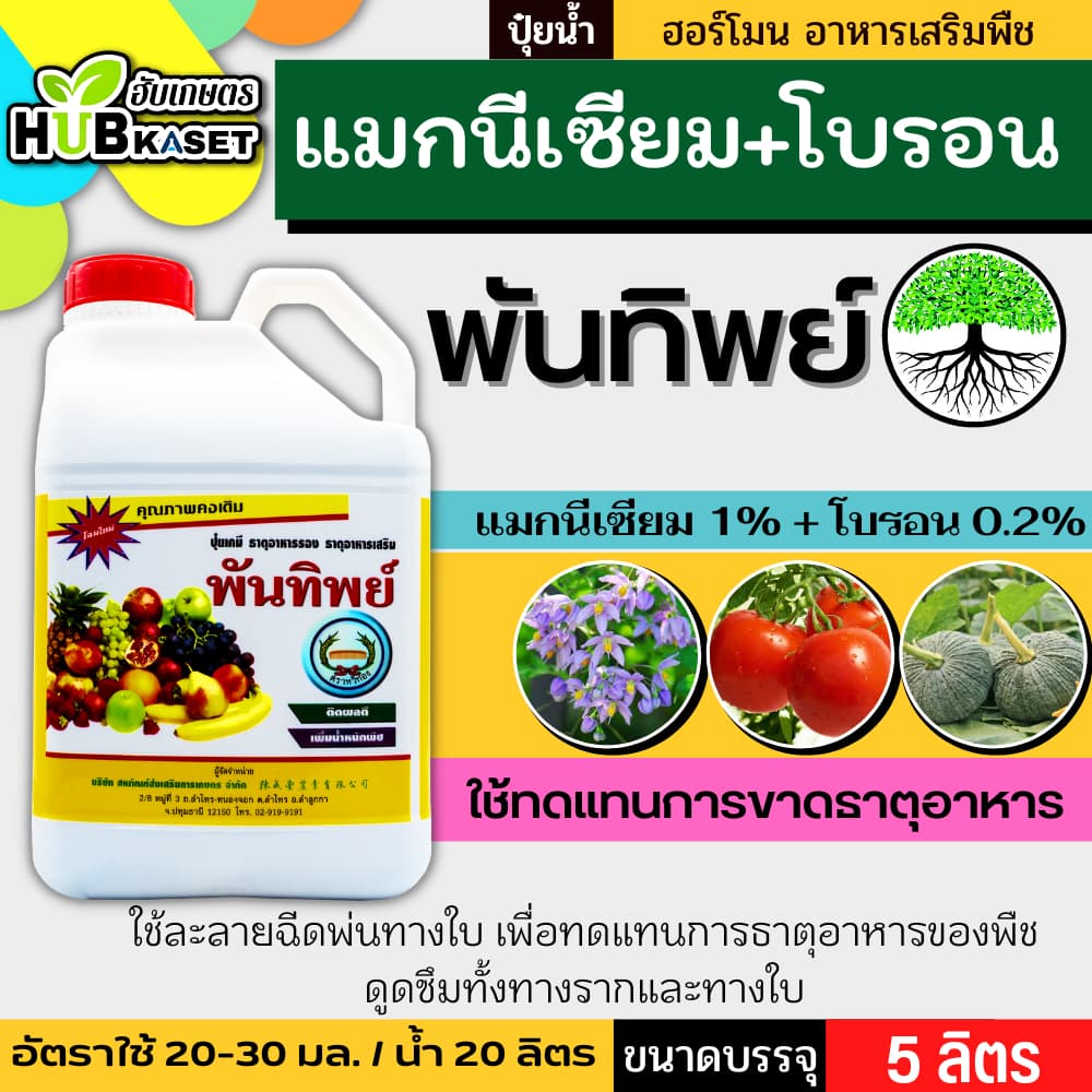 พันทิพย์ 5ลิตร เสริมสร้างให้รากและลำต้นเจริญเติบโตได้เร็วทันใจ รูปที่ 1