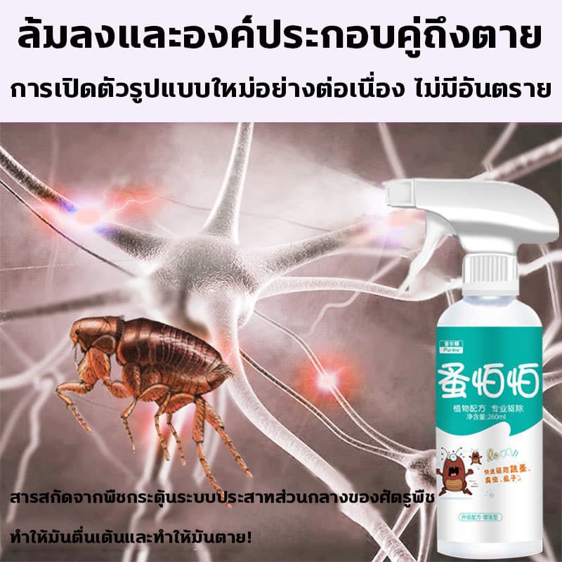 ยาฉีดเห็บหมัด สเปรย์กำจัดเห็บหมา กำจัดเห็บหมัดหมา สเปรย์ฆ่าเห็บหมัด เห็บหมัดสุนัข 500ml สเปรย์ฉีดสำหรับสุนัขและแมว รูปที่ 4