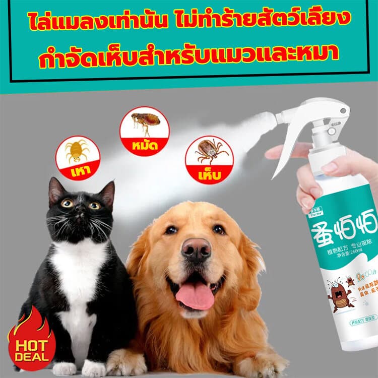 ยาฉีดเห็บหมัด สเปรย์กำจัดเห็บหมา กำจัดเห็บหมัดหมา สเปรย์ฆ่าเห็บหมัด เห็บหมัดสุนัข 500ml สเปรย์ฉีดสำหรับสุนัขและแมว รูปที่ 5