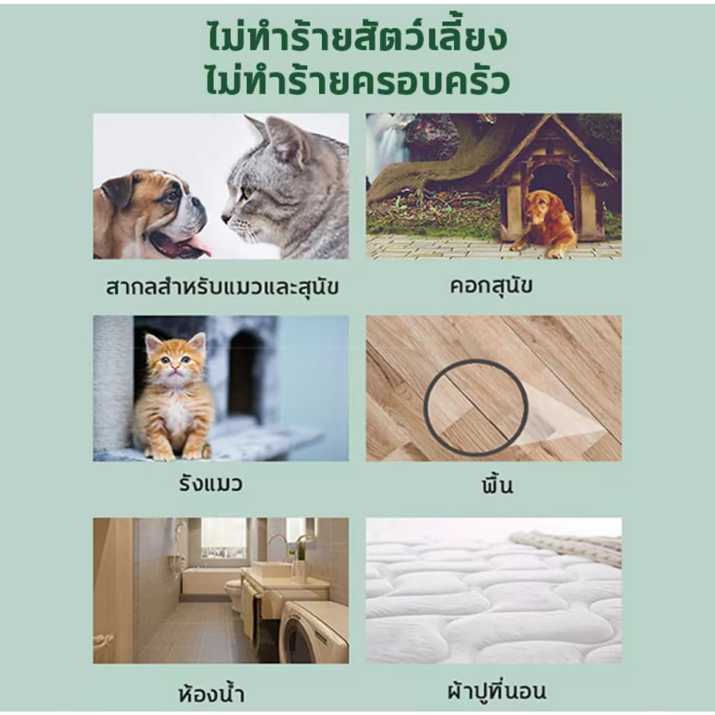 ยาฉีดเห็บหมัด สเปรย์กำจัดเห็บหมา กำจัดเห็บหมัดหมา สเปรย์ฆ่าเห็บหมัด เห็บหมัดสุนัข 500ml สเปรย์ฉีดสำหรับสุนัขและแมว รูปที่ 8