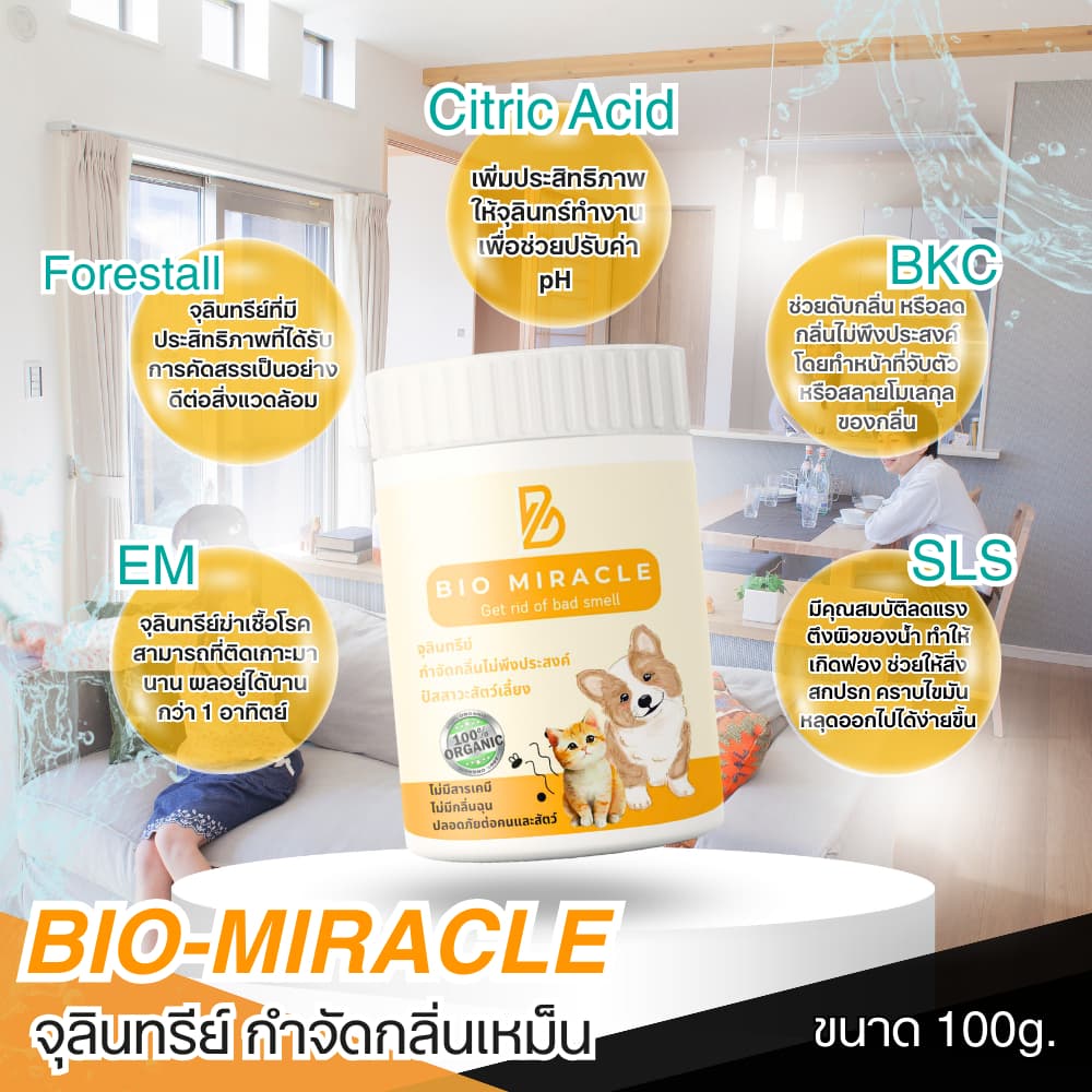 BIO Miracle ไบโอมิราเคิล จุลินทรีย์ ดับกลิ่นฉี่สัตว์ ฉี่หมาแมว กลิ่นเหม็น เป็นสารออร์แกนิค ไม่เป็นอันตรายต่อสัตว์ รูปที่ 3