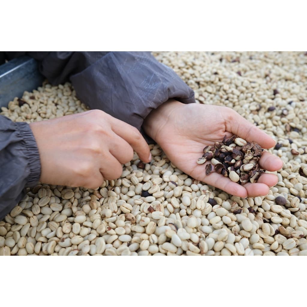PK เมล็ดกาแฟคั่วเข้ม Blend Dark Roast อาราบิก้าผสมโรบัสต้าขนาด 1Kg รสชาติเข้มเต็มแน่น คั่วใหม่ทุกวัน รูปที่ 2