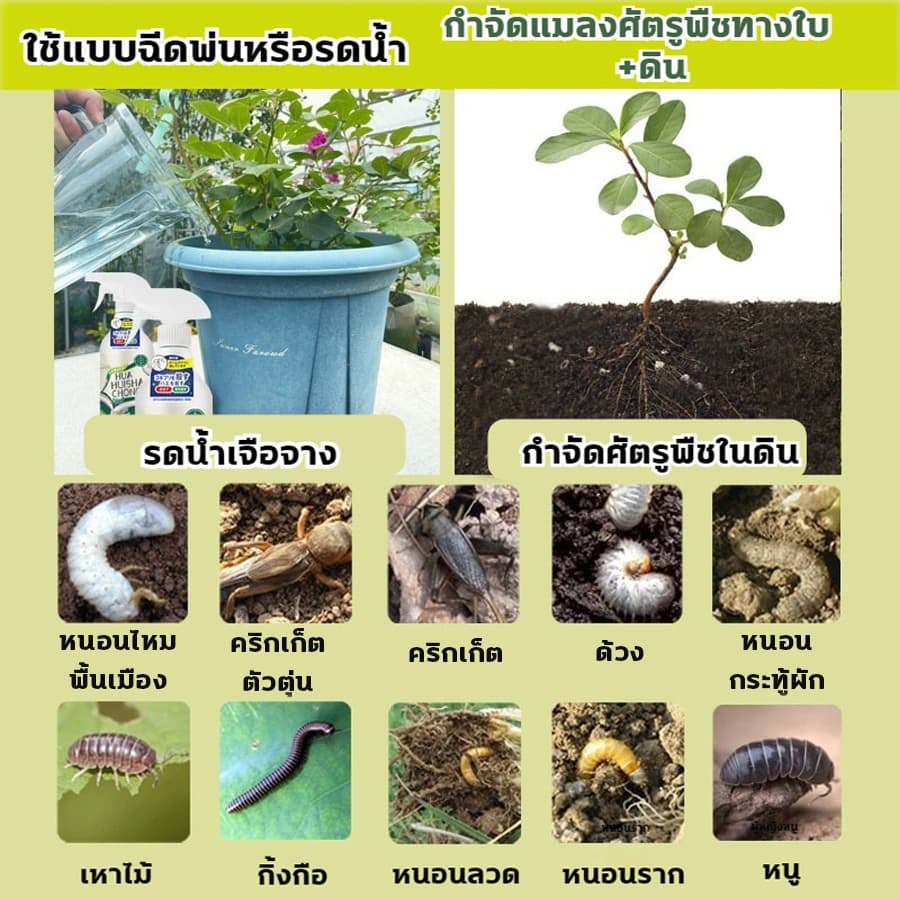 ยากำจัดแมลงพืช 500ml ยาฆ่าแมลง ยากำจัดหนอน สารกำจัดแมลง ยาฆ่าแมลงกินใบ ยากำจัดเพลี้ย ยาฆ่าเพลี้ย ​หนอน มด เกษตร สว รูปที่ 2