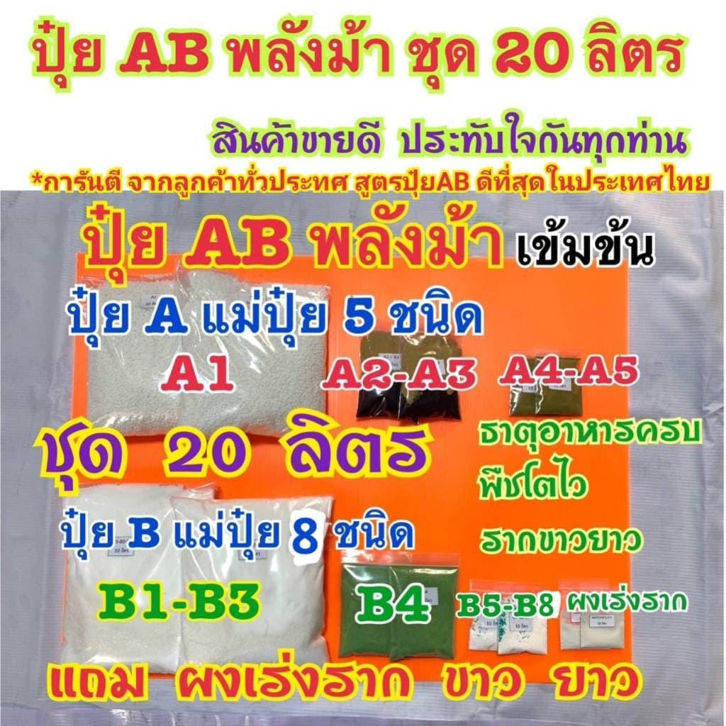 ปุ๋ย AB ชุด 20ลิตร เข้มข้นพลังม้า ผักไฮโดรโปนิกส์ทั้งน้ำวนน้ำนิ่งและพ่นทางใบพืชทุกชนิด แถมผงเร่งรากขาวยาว ปุ๋ยแห้งผสมเอง รูปที่ 1