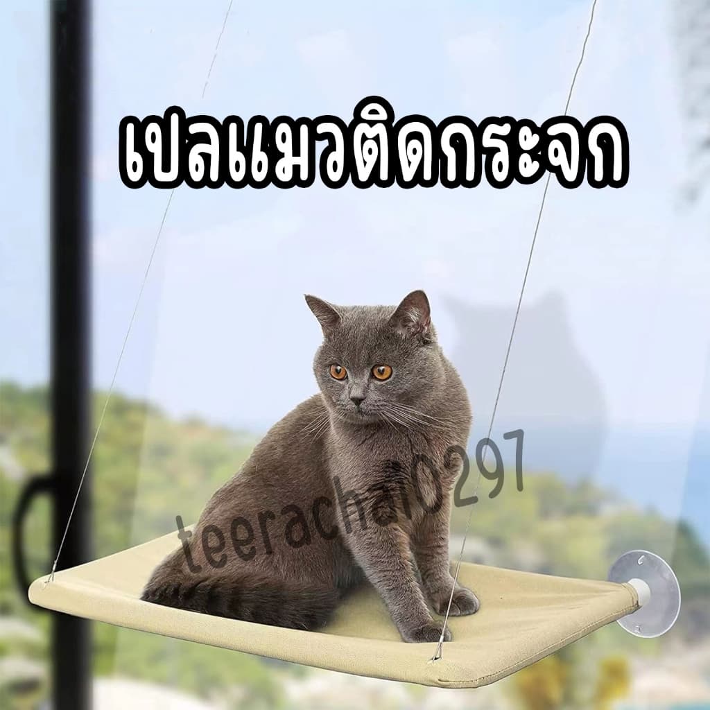 เปลแมวติดกระจก รับน้ำหนักได้ถึง 20kg เปลสัตว์เลี้ยงสีพาสเทล ที่นอนแมว บ้านแมว รูปที่ 2